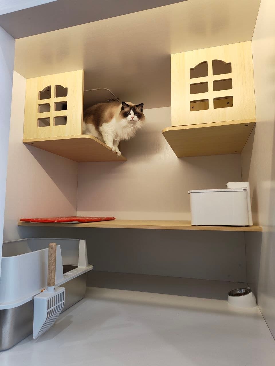 Classic Suite — photo 3