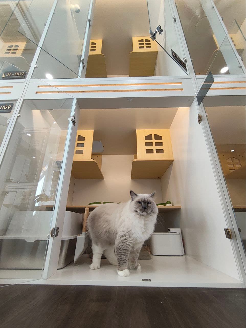 Classic Suite — photo 4