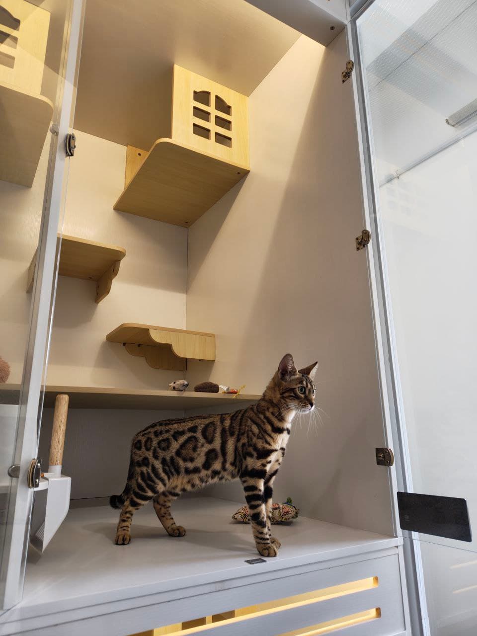 Loft Suite — photo 2