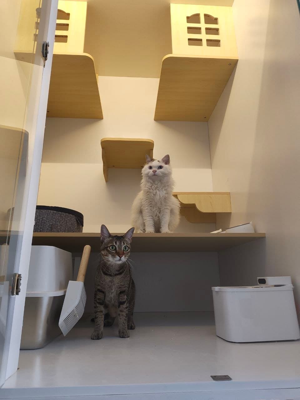 Loft Suite — photo 3