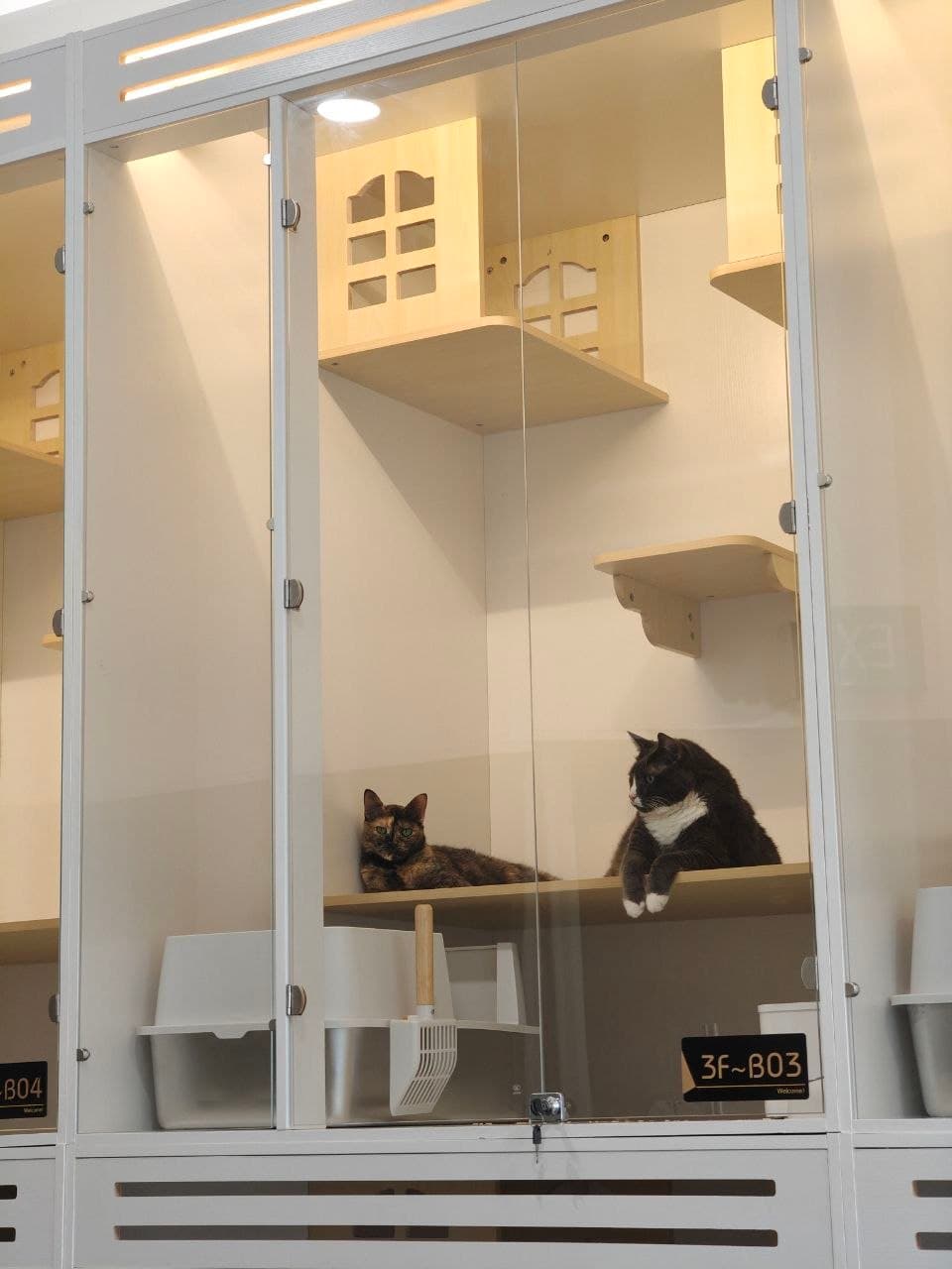 Loft Suite — photo 4