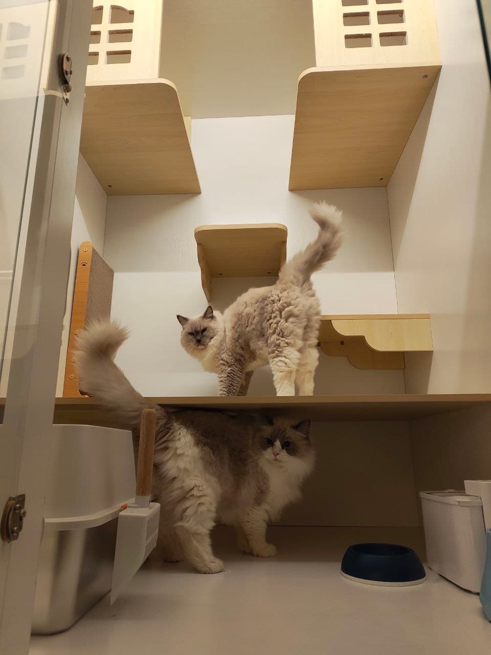 Loft Suite — photo 5