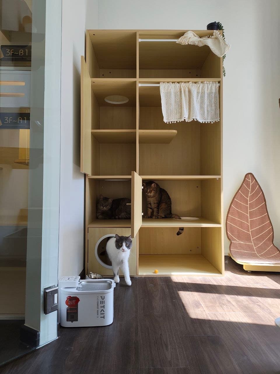 Premium Villa — photo 2