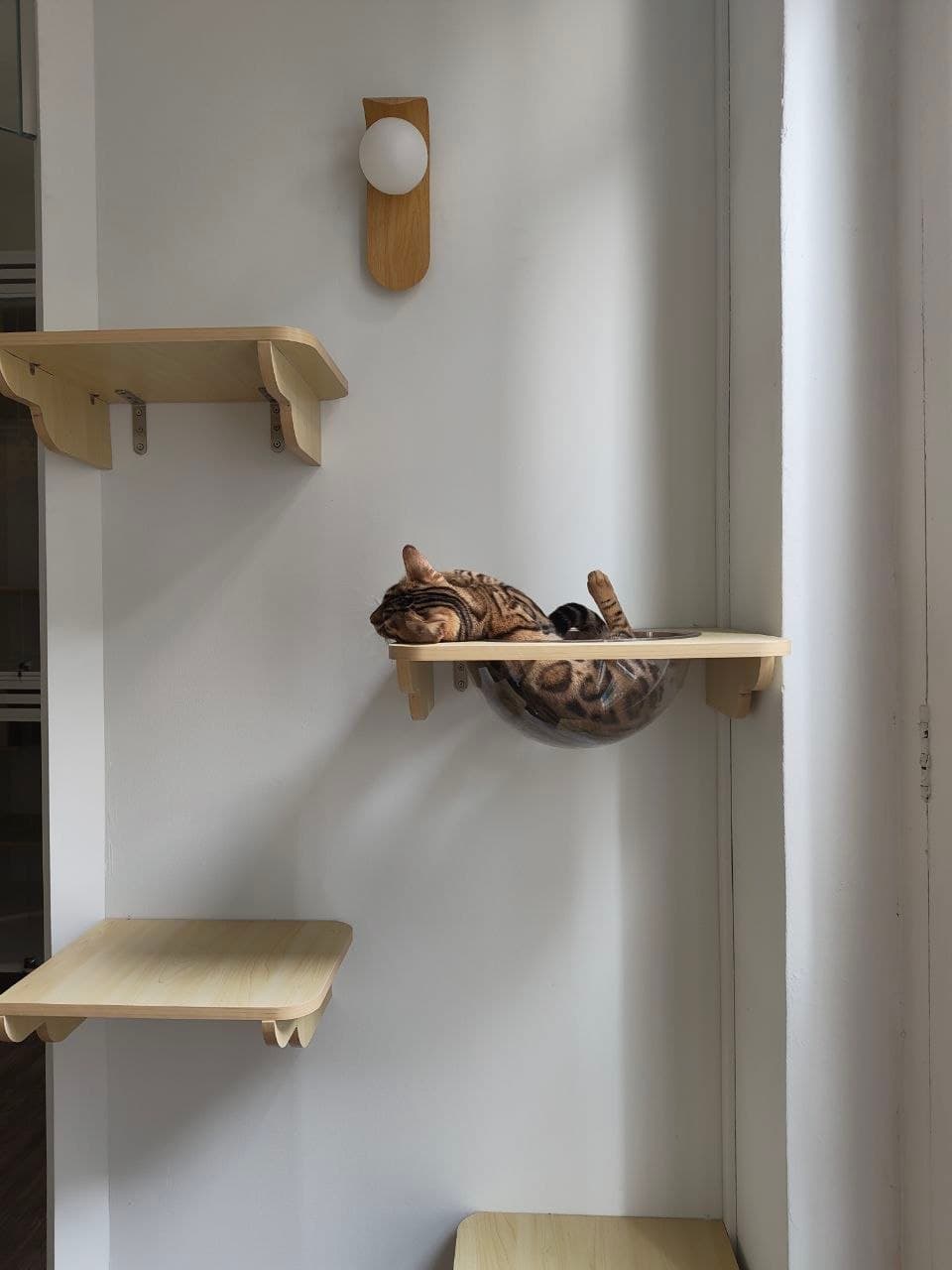 Premium Villa — photo 3