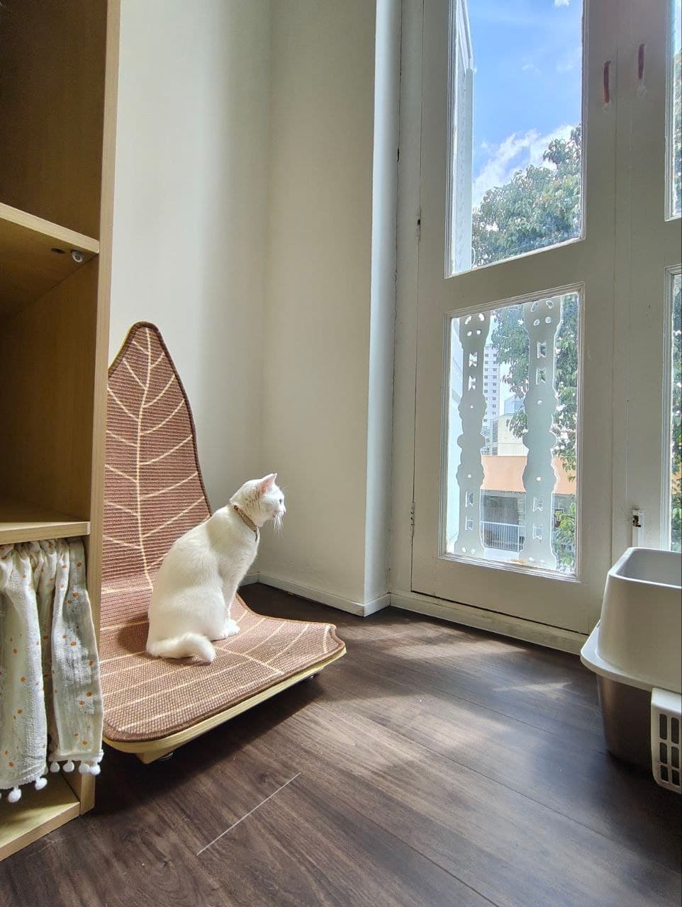 Premium Villa — photo 4