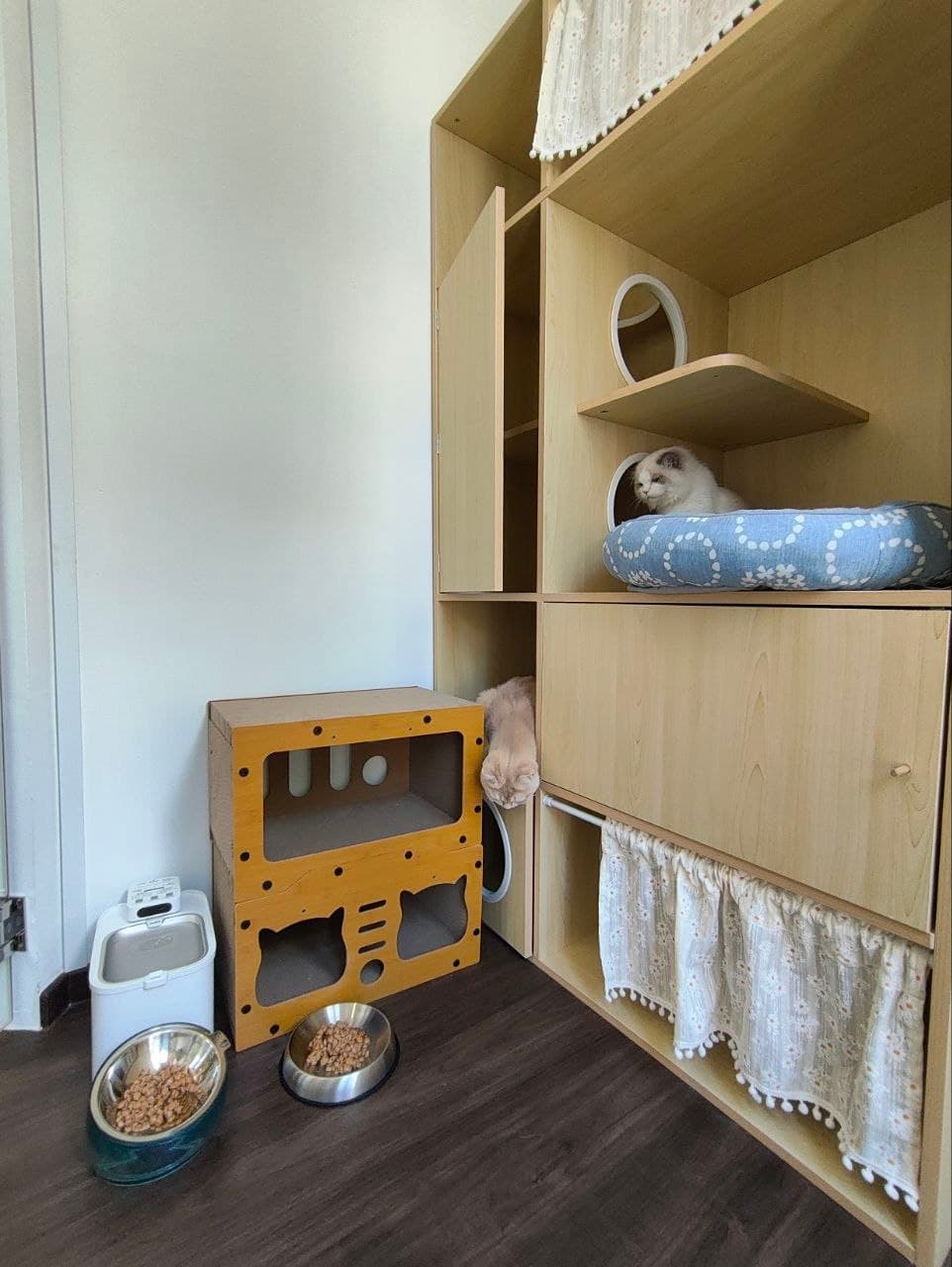 Premium Villa — photo 5