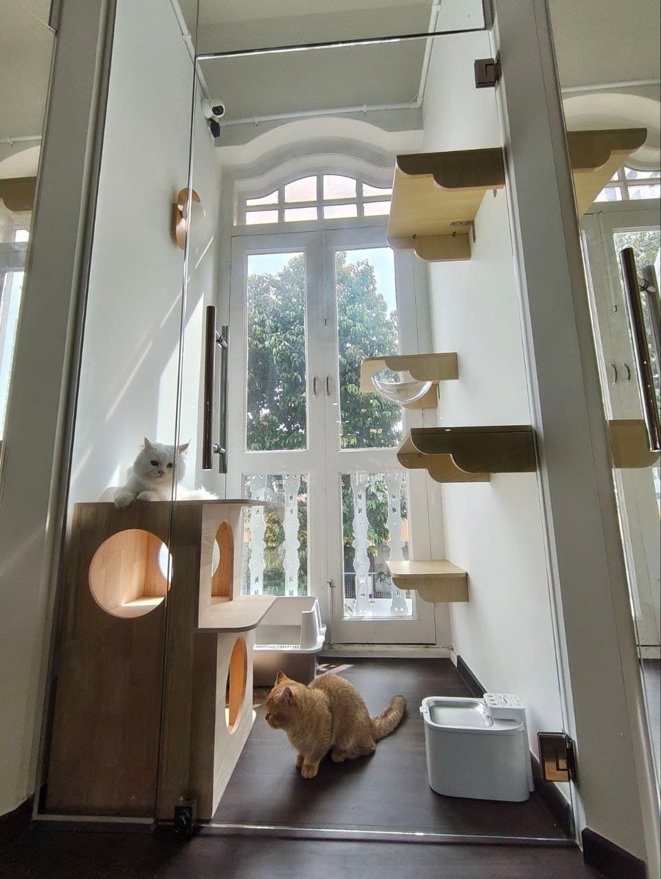 Sky Villa — photo 2