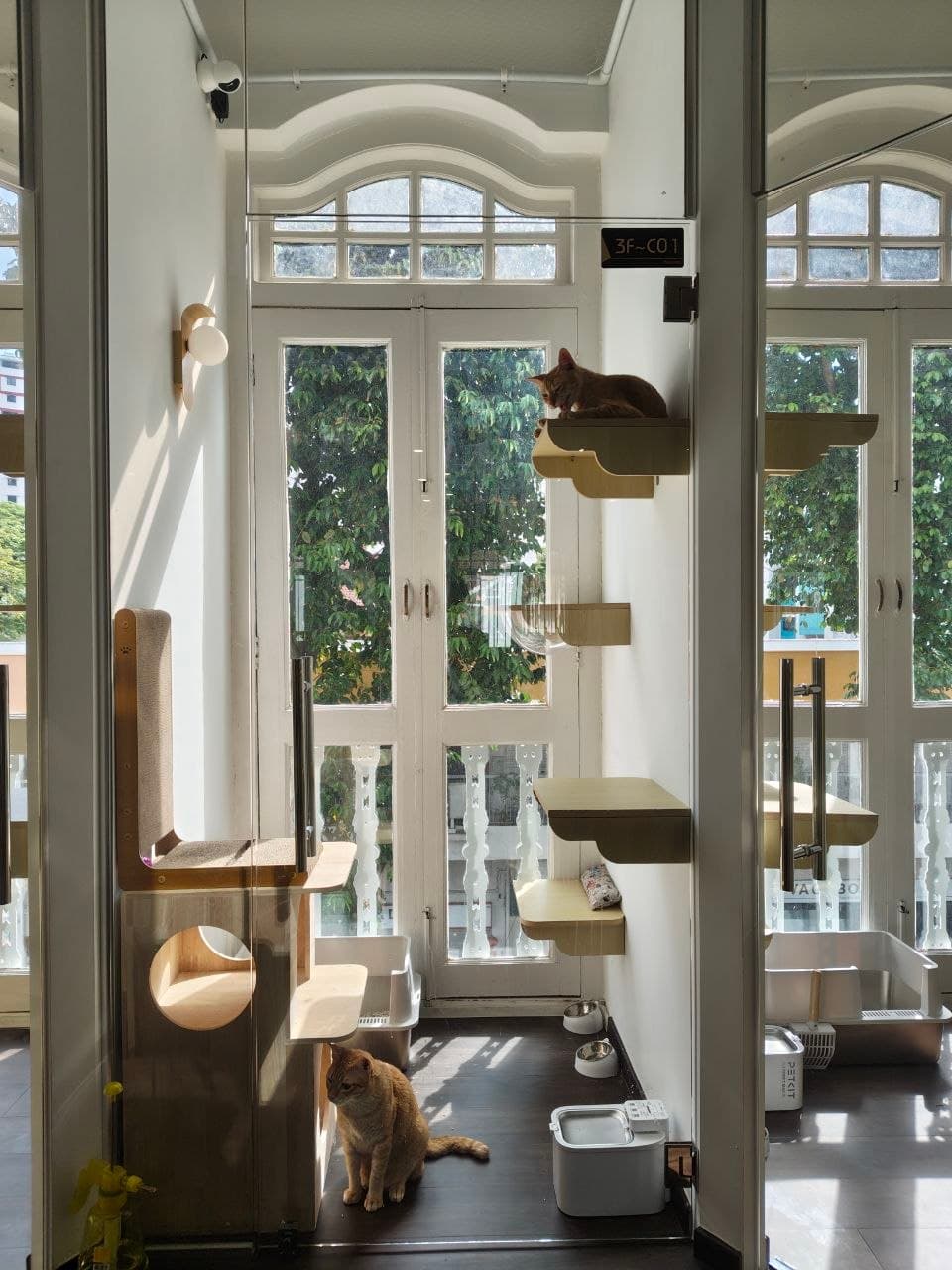 Sky Villa — photo 4