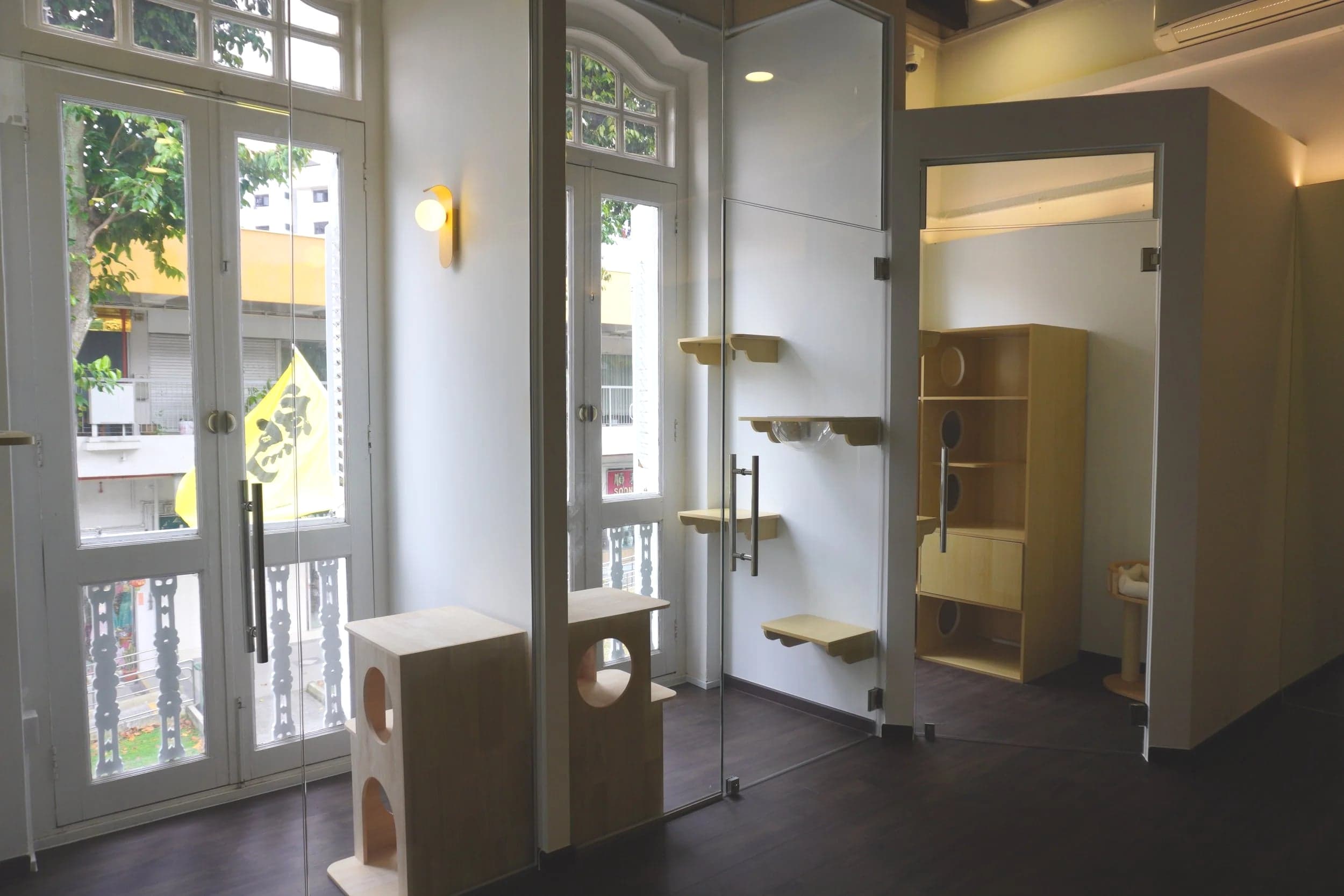 阳光洒满的 Kuro Cat 猫咪酒店二楼别墅区，百年店屋法式双门、内建猫咪层架与木制睡眠舱