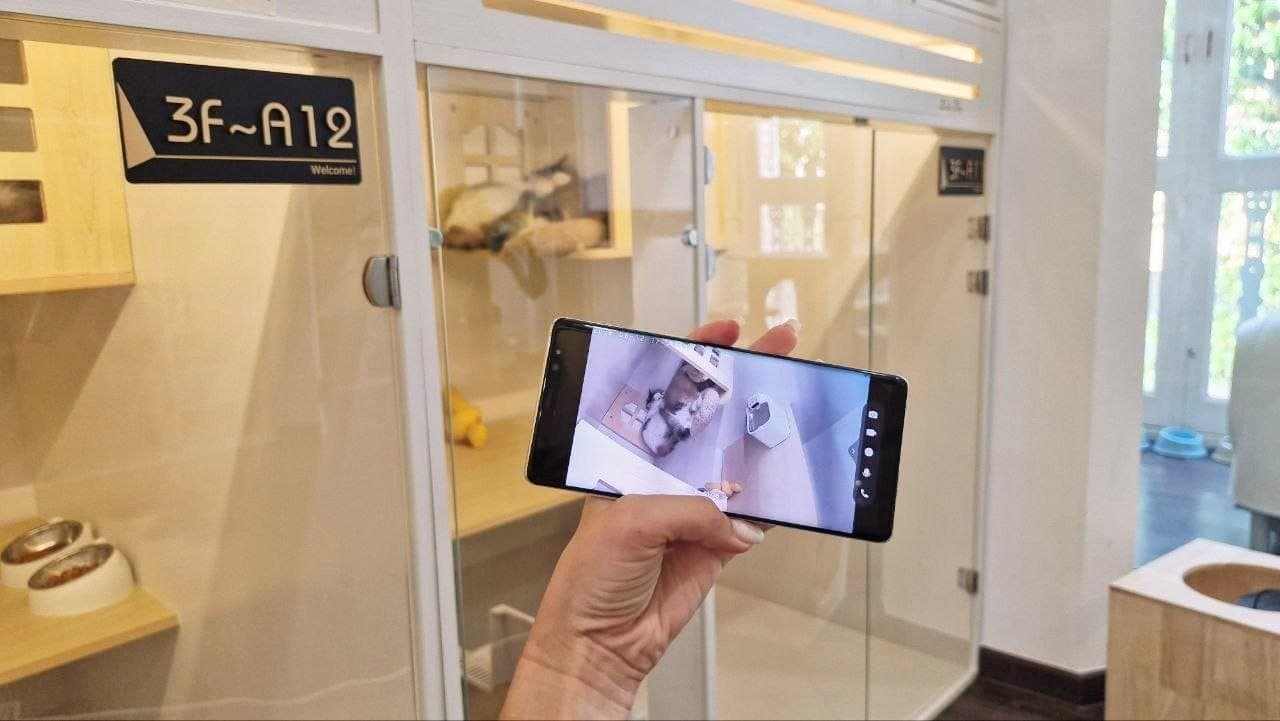 An owner holding up a phone showing the live in-suite camera feed outside suite 3F-A12 at Kuro Cat Hotel