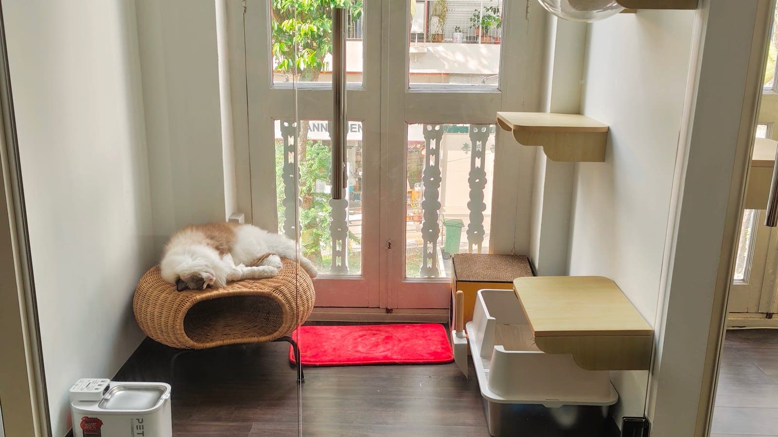 A cat asleep on a rattan lounger beside the heritage shophouse windows of its suite at Kuro Cat Hotel
