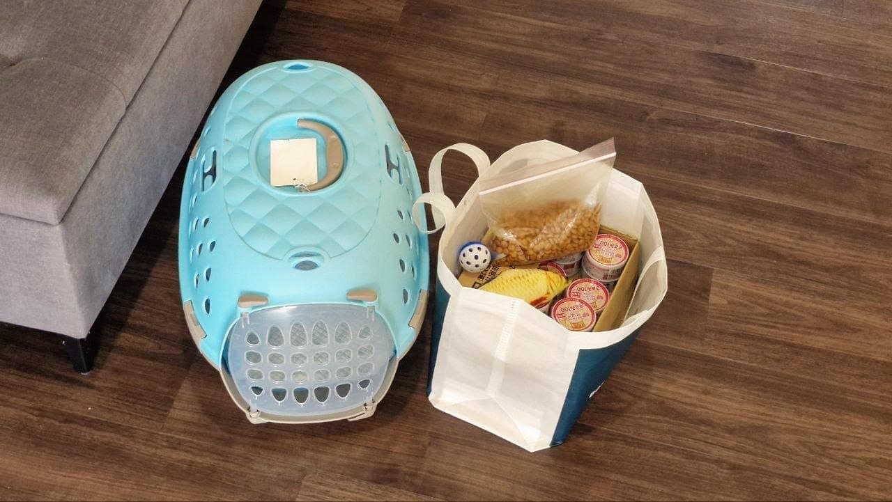 A cat carrier next to a tote bag packed with the cat's usual food, treats, and a toy, ready for drop-off