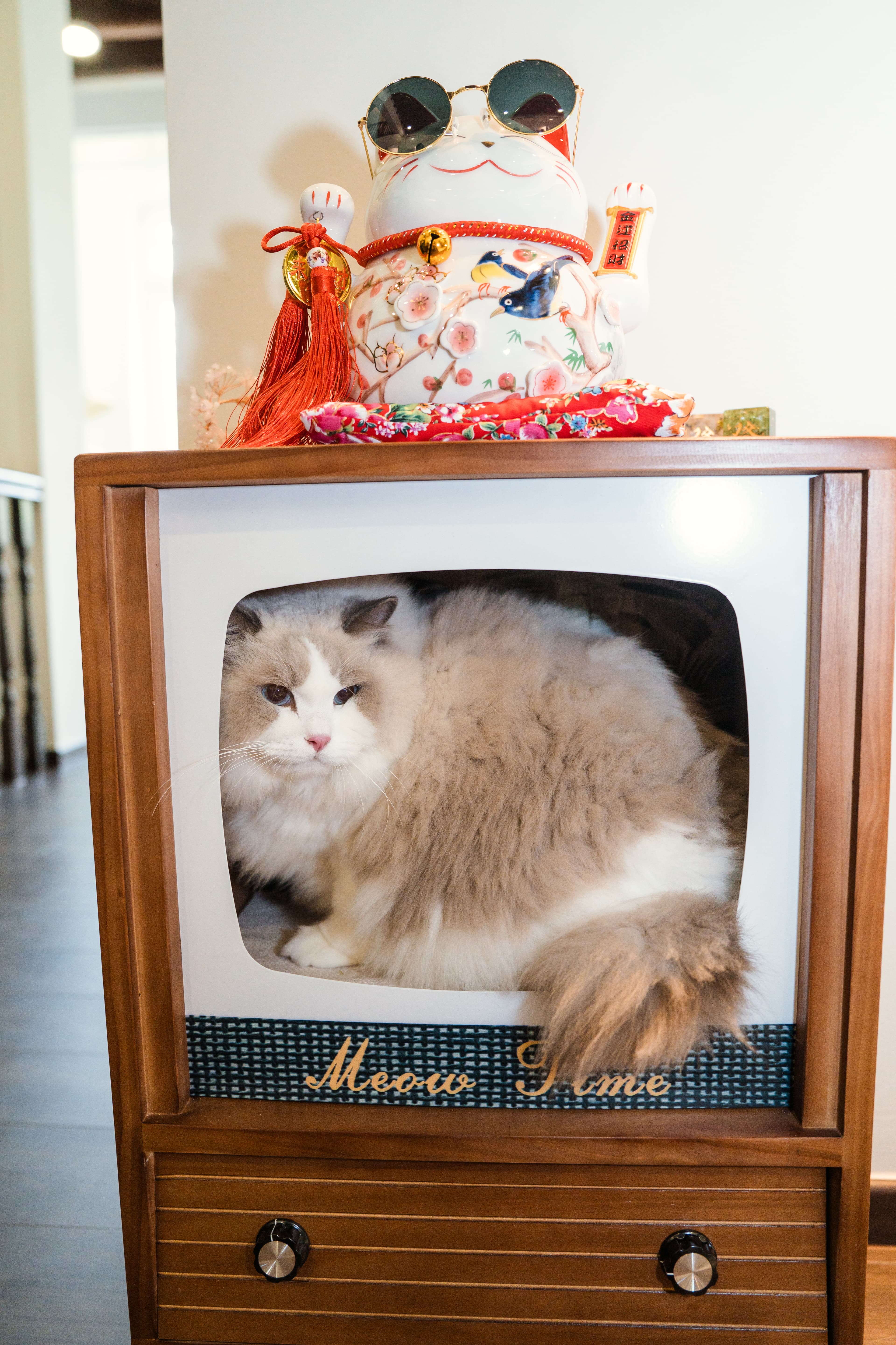 毛茸茸的布偶猫坐在复古 Meow Time 电视框里,顶上摆着一只招财猫