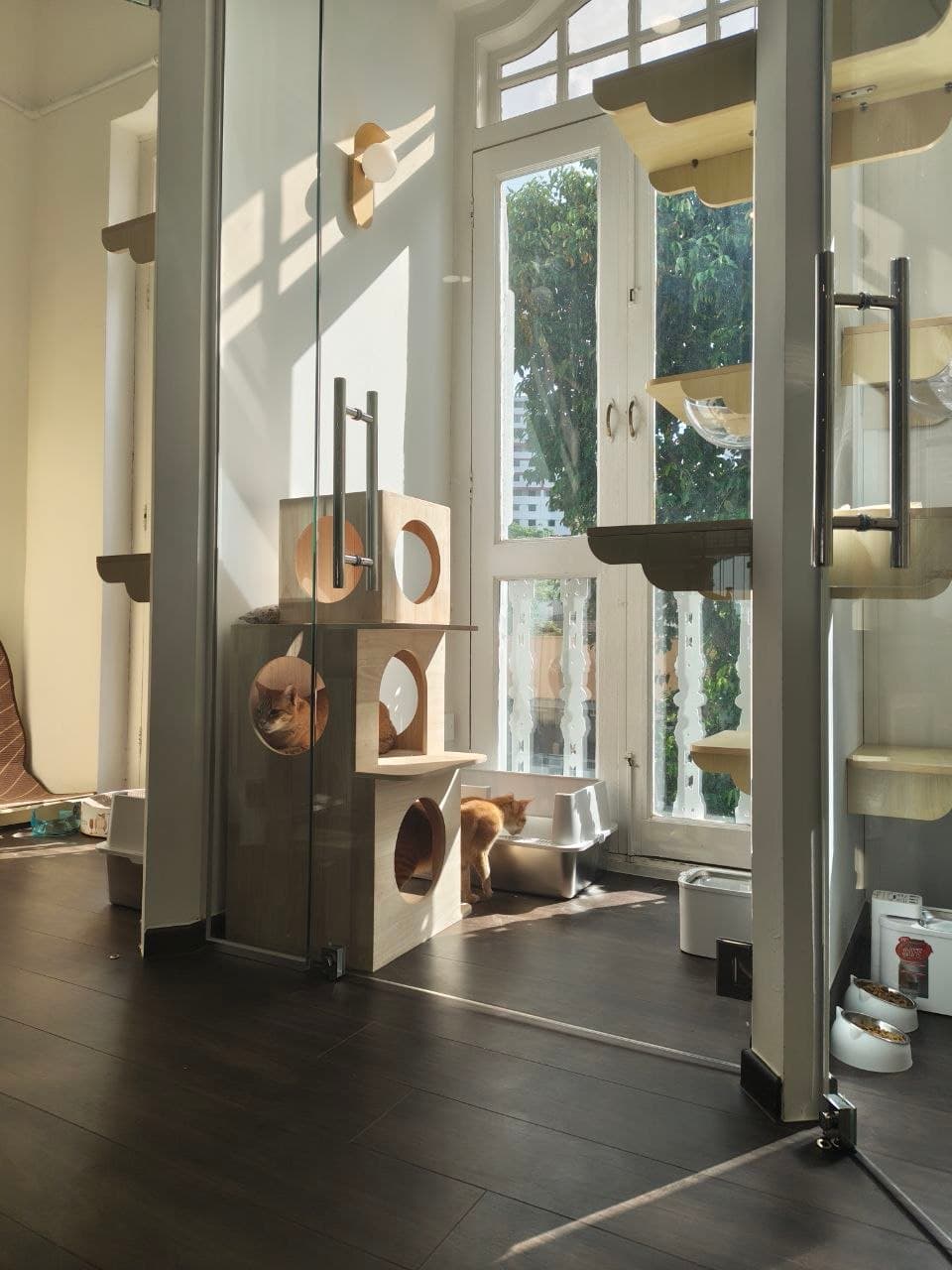A private suite at Kuro Cat Hotel & Resort, with natural light and vertical space