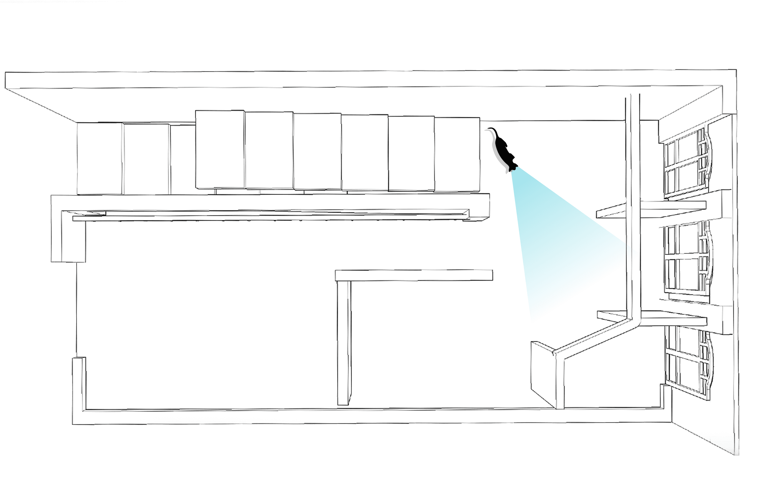 Top-down line drawing of Kuro Cat Hotel Level 2 with a cat silhouette facing the villa row on the right